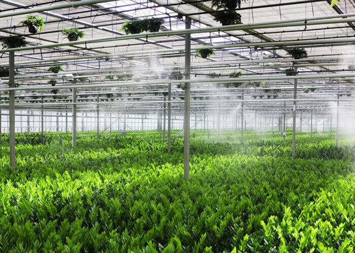 Greenhouse fog best sale systems